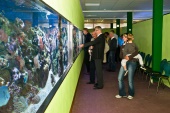 Meerwasseraquarium